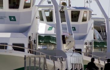 noticias cadiz catamaran puerto_0_0.jpg