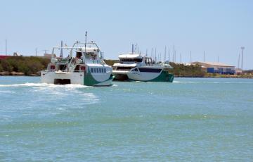 noticias cadiz catamaranes_3.jpg