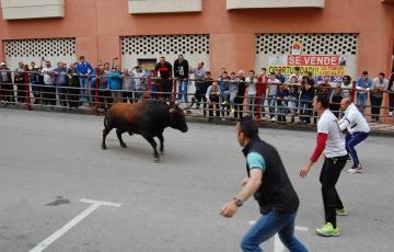 noticias cadiz embolao.jpg