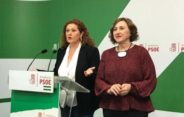 noticias cadiz psoe_51.jpg