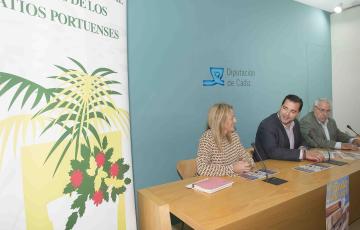 noticias cadiz dia de los patios.jpg