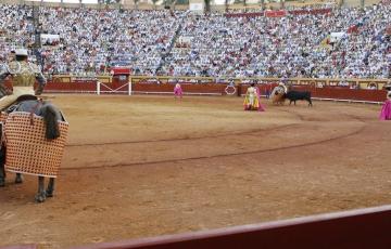 noticias cadiz festejos taurinos.jpg