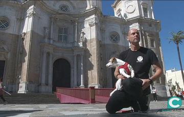 noticias cadiz perro catedral.jpg