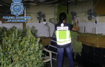 noticias cadiz marihuana sanlucar_0.jpg