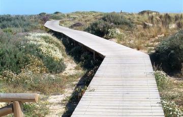 noticias cadiz sendero camposoto.jpg