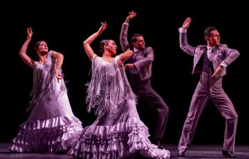 noticias cadiz Ballet Flamenco de Andalucía (BAF).jpg