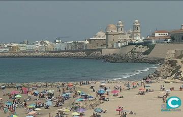 noticias cadiz ayuntamiento mascotas.jpg