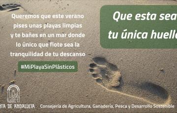 noticias cadiz campaña plasticojpeg.jpeg