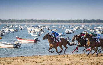 noticias cadiz carrera de caballos.jpg