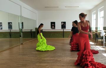 noticias cadiz flamenco_16.jpg