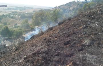 noticias cadiz incendio forestal medina.jpg