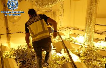 noticias cadiz marihuana_4.jpg