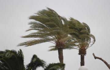 alerta-amarilla-en-el-estrecho-por-fuerte-viento-de-levante.jpg