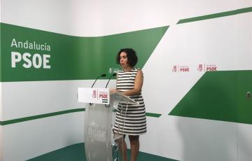 noticias cadiz psoe europa.jpg