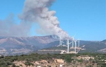 noticias cadiz incendio tajo.jpg