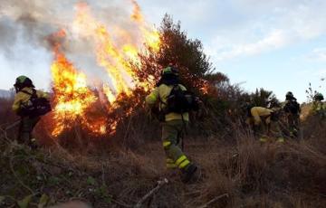 noticias cadiz infoca_5.jpg