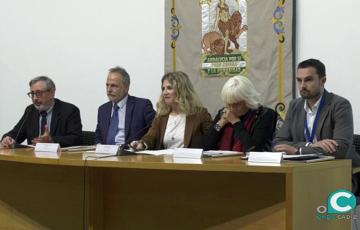 noticias cadiz seminario puerto de cadiz.jpg