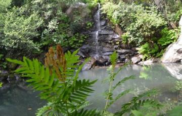 noticias cadiz ecologiastas agua.jpg