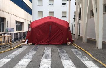 CARPA ROJA.JPG