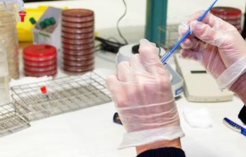 3219_laboratorio-007.jpg