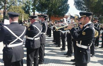 bandas_ampolillas.jpg