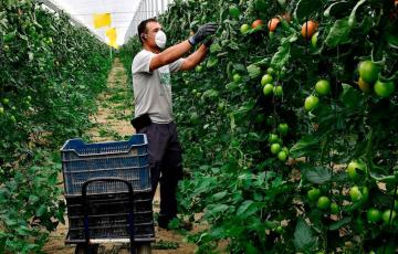 agricultores mascarillas.jpg