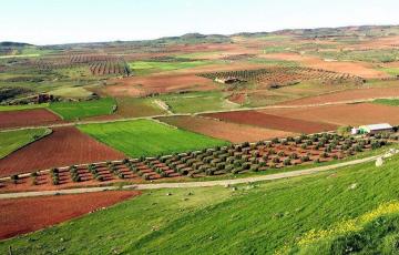 campo-montiel-paisaje-general.jpg