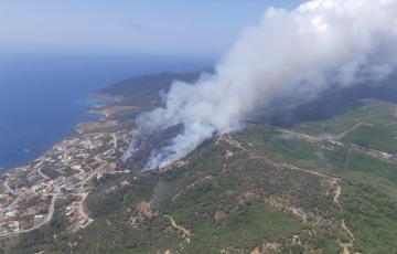 incendio tarifa.jpg