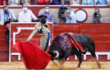 toros el puerto.jpg