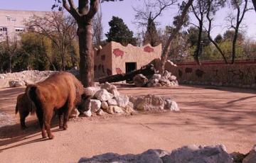 zoo jerez .jpg