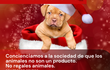 Campaña de tenencia responsable de mascotas 