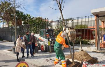 El alcalde y la concejala de medio ambiente durante la plantación del árbol