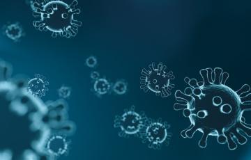 Descienden los contagios por coronavirus 