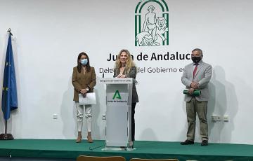 Ana Mestre en su comparecencia ante los medios