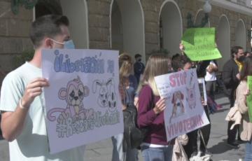 Piden a la modificación de Ley para que los animales sean tratados como seres sintientes 