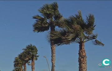 Viento en la ciudad