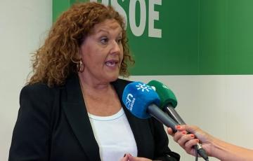 La portavoz adjunta en el Parlamento de Andalucía y secretaria de Organización del PSOE de Cádiz, Araceli Maese