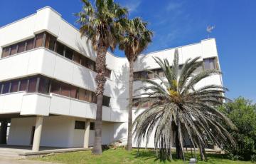 El edificio.