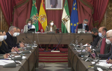 El Pleno de la Diputación celebrado en el mes de febrero.