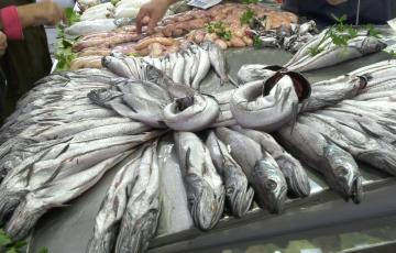 Puesto de pescado en el mercado central 