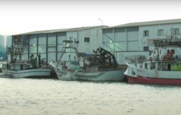 La flota pesquera de cerco de Barbate permanecerá amarrada a puerto por los altos costes del carburante