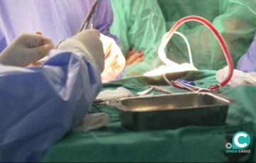 En lo que va de año, hasta el mes de abril, se han producido 36 trasplantes renales en el Hospital Puerta del Mar