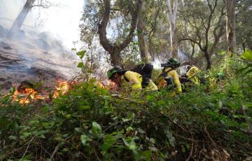Agentes de intervención antiincendios actuando en el fuego declarado en Tarifa
