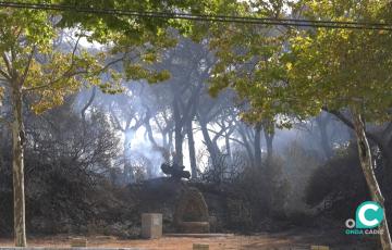 Imagen del incendio en las Canteras