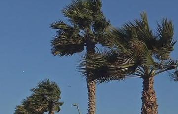 En Cádiz se ha activado la alerta por fuerte oleaje entre las 03,00 y las 23,59 horas.