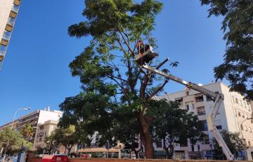 El Ayuntamiento de Cádiz está realizando esta medida especial antes de que comience el curso escolar