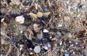 Bolitas de pélets aparecidas en la playa de Bolonia.