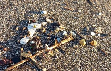 Imagen de archivo de pellets en la playa de Bajamar, en Tenerife.