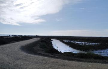 Viandantes caminan por un paseo junto a unos esteros de la Bahía de Cádiz