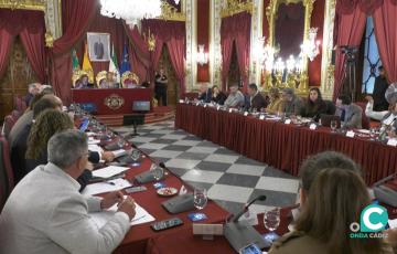 Sesión ordinaria del Pleno de la Diputación de Cádiz. 